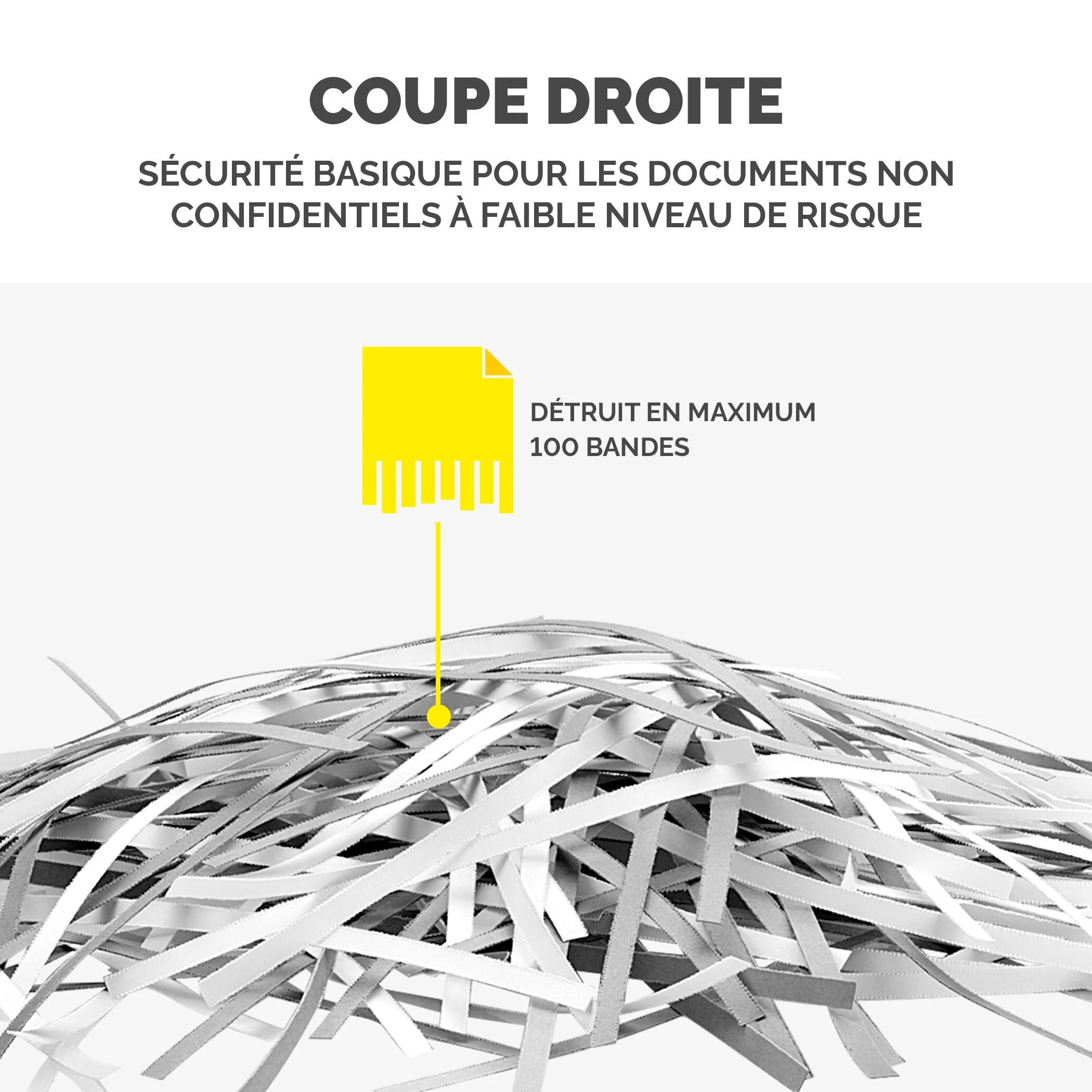 DESTRUCTEUR PERSONNEL P25S (5 Flls) FELLOWES