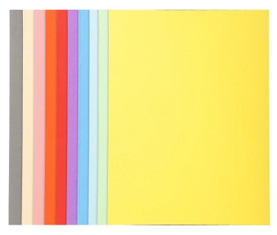 Paquet de 100 chemises FOREVER 170 assorti